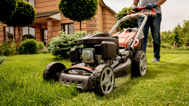 Przekonaj się, jakich narzędzi ogrodowych potrzebujesz do pielęgnacji swojego trawnika!